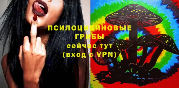 jwh Белокуриха